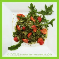 Salade de feuilles de pissenlit (du jardin !...) et de fraises au miel et aux pralins