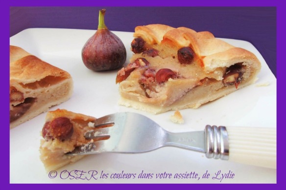 6-tarte-rustique-noisettine-aux-figues-ok