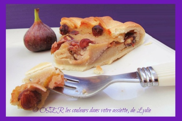 7-tarte-rustique-noisettine-aux-figues-ok