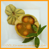 Cook_and_Eat_Orange